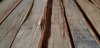 20220827_095818.jpg