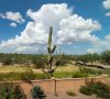 3R7A1072-Pano-Edit 1024.jpg