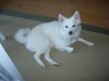 DSCN3027.jpg