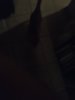 5BD6F247-10AC-41D6-8890-59B2C233358B.jpeg