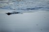 _GJK8832.jpg