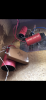 EE24B730-8BDC-45FA-8BC9-4D82FBBBD762.png