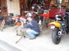 IMG_0320r.jpg