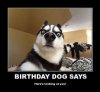 Happy Birthday huskey.jpg