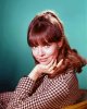 o-BARBARA-FELDON-PHOTO-570.jpg