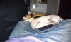 2012-04-30 22.47.19.jpg