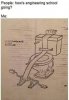 toilet paper.jpg