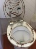 Toilet in an outback pub.jpg