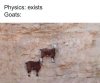 goats.jpg