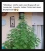 wtree.jpeg