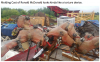 Screen Shot 2022-12-15 at 9.26.24 AM.png