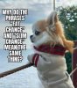 your-deep-thoughts.jpg
