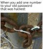 zz-funny-150.jpg