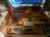 20221027_023342.jpg
