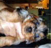 DSC01392.JPG