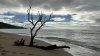 IMG_4565.jpeg