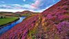 Pentland_hills_slope.jpg