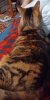 20230213_044029.jpg