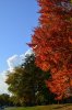 _DSC9061.JPG