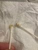 IMG_2916.jpeg