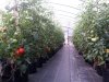 20170716_211106.jpg