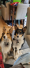 upload_2023-3-21_1-10-19.png