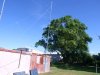 20 m Quad loop at vk4fuq QTH. 002ba.jpg