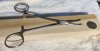 IMG_2122.jpeg