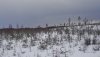 _DSC_img8.jpg