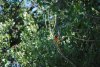 DSC_0177.jpg