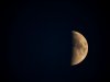 moonshot_EP-L1.jpg