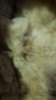 20230527_190452.jpg