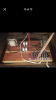 6892BCFB-FDBD-48DA-96D4-087AA726DAC3.png
