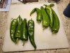 IMG_0484.jpeg