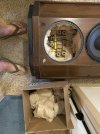 IMG_1520.jpeg