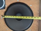 PXL_20230616_192259693.jpg