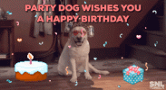 1687261939406.gif