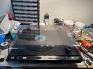 IMG_6131.jpeg
