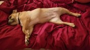 20200829_004039.jpg