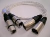 1xlr.jpg