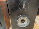 IMG_9859.jpeg