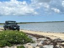 jeep_MV.jpg
