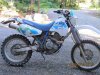 DR350.jpg