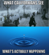 1692626668002.png