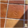 12x12-saltillo-tile-with-paw-print.jpg
