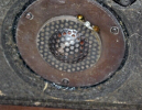 Screenshot 2023-09-09 at 15-46-38 Dynaco A25 Speakers ~ Working ~ Need Restoration eBay.png