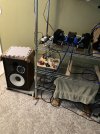 IMG_1341.jpeg