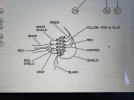 IMG_1550.jpeg