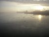 kalmarfog.jpg