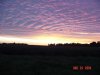Picture 004.jpg